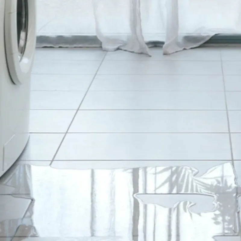 Appliance Leak Cleanup in Villages of Oriole, FL