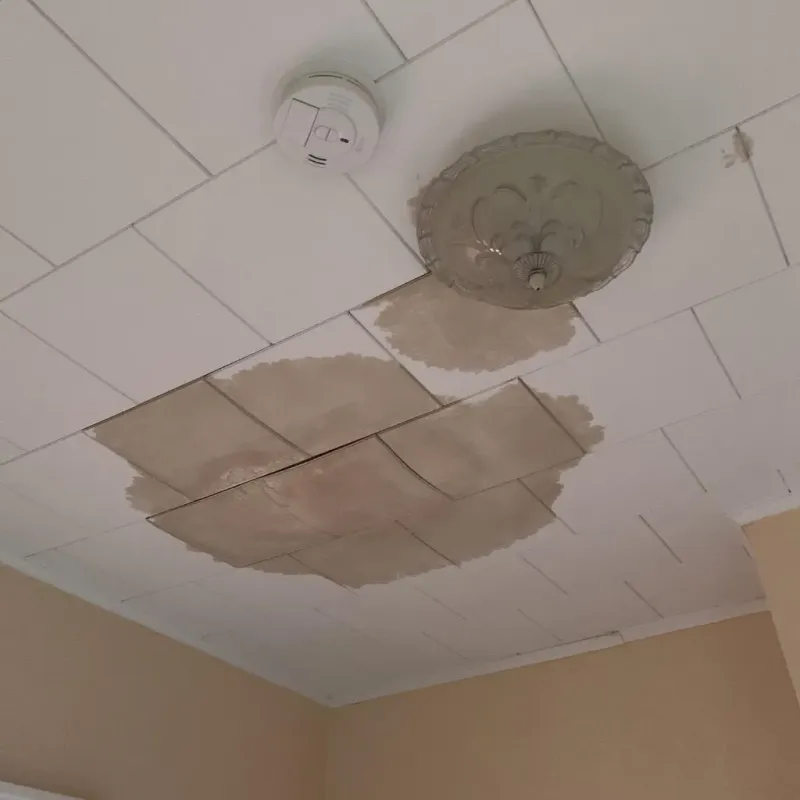 Ceiling Water Damage Repair in Villages of Oriole, FL